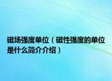 磁場(chǎng)強(qiáng)度單位（磁性強(qiáng)度的單位是什么簡(jiǎn)介介紹）