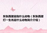 東張西望是指什么動物（東張西望打一生肖是什么動物簡介介紹）