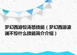 夢(mèng)幻西游驚濤怒技能（夢(mèng)幻西游波瀾不驚什么技能簡(jiǎn)介介紹）