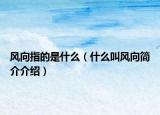 風向指的是什么（什么叫風向簡介介紹）