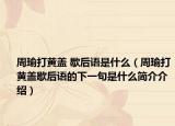 周瑜打黃蓋 歇后語(yǔ)是什么（周瑜打黃蓋歇后語(yǔ)的下一句是什么簡(jiǎn)介介紹）