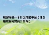 威客網(wǎng)是一個(gè)什么樣的平臺(tái)（什么是威客網(wǎng)站簡介介紹）