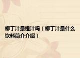 柳丁汁是橙汁嗎（柳丁汁是什么飲料簡介介紹）