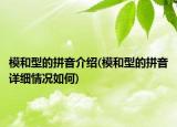 模和型的拼音介紹(模和型的拼音詳細(xì)情況如何)