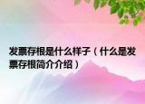 發(fā)票存根是什么樣子（什么是發(fā)票存根簡(jiǎn)介介紹）
