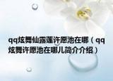 qq炫舞仙露蓮許愿池在哪（qq炫舞許愿池在哪兒簡(jiǎn)介介紹）