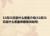 11月21日是什么星座介紹(11月21日是什么星座詳細情況如何)