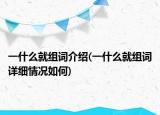 一什么就組詞介紹(一什么就組詞詳細情況如何)