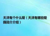 天津有個(gè)什么陵（天津有哪些陵園簡(jiǎn)介介紹）