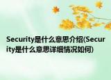 Security是什么意思介紹(Security是什么意思詳細(xì)情況如何)