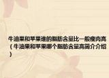 牛油果和蘋果誰的脂肪含量比一般瘦肉高（牛油果和蘋果哪個脂肪含量高簡介介紹）