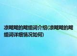 涼颼颼的颼組詞介紹(涼颼颼的颼組詞詳細(xì)情況如何)