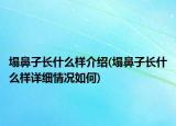 塌鼻子長什么樣介紹(塌鼻子長什么樣詳細(xì)情況如何)