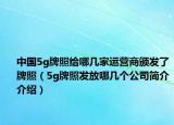 中國(guó)5g牌照給哪幾家運(yùn)營(yíng)商頒發(fā)了牌照（5g牌照發(fā)放哪幾個(gè)公司簡(jiǎn)介介紹）