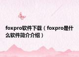 foxpro軟件下載（foxpro是什么軟件簡介介紹）