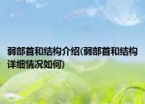弱部首和結構介紹(弱部首和結構詳細情況如何)