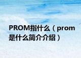 PROM指什么（prom是什么簡介介紹）