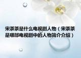 宋茶茶是什么電視劇人物（宋茶茶是哪部電視劇中的人物簡(jiǎn)介介紹）