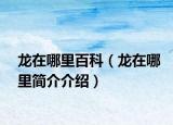 龍?jiān)谀睦锇倏疲堅(jiān)谀睦锖?jiǎn)介介紹）