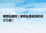 豬剛鬣劇照（豬剛鬣是誰演的簡介介紹）