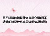 目不轉(zhuǎn)睛的轉(zhuǎn)是什么意思介紹(目不轉(zhuǎn)睛的轉(zhuǎn)是什么意思詳細(xì)情況如何)