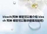 bleach(死神 哪里可以看介紹 bleach 死神 哪里可以看詳細(xì)情況如何)