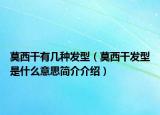 莫西干有幾種發(fā)型（莫西干發(fā)型是什么意思簡(jiǎn)介介紹）
