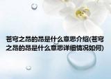 蒼穹之昂的昂是什么意思介紹(蒼穹之昂的昂是什么意思詳細情況如何)