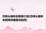 怎樣從桂林去陽朔介紹(怎樣從桂林去陽朔詳細情況如何)