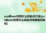 pve和esxi各有什么優(yōu)缺點(diǎn)介紹(pve和esxi各有什么優(yōu)缺點(diǎn)詳細(xì)情況如何)