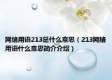 網(wǎng)絡(luò)用語213是什么意思（213網(wǎng)絡(luò)用語什么意思簡介介紹）