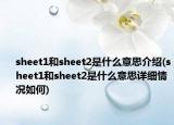 sheet1和sheet2是什么意思介紹(sheet1和sheet2是什么意思詳細(xì)情況如何)