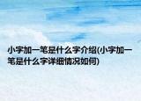小字加一筆是什么字介紹(小字加一筆是什么字詳細(xì)情況如何)
