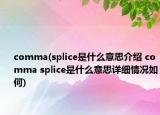 comma(splice是什么意思介紹 comma splice是什么意思詳細(xì)情況如何)