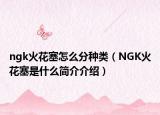 ngk火花塞怎么分種類（NGK火花塞是什么簡介介紹）