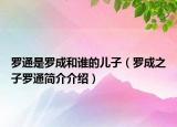 羅通是羅成和誰的兒子（羅成之子羅通簡介介紹）