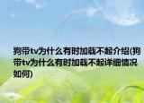 狗帶tv為什么有時加載不起介紹(狗帶tv為什么有時加載不起詳細(xì)情況如何)