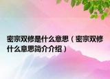 密宗雙修是什么意思（密宗雙修什么意思簡介介紹）