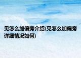 見怎么加偏旁介紹(見怎么加偏旁詳細(xì)情況如何)