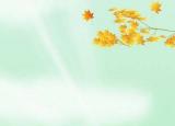 滑輪組機(jī)械效率η=W有用\W總=Gh\Fs=G\Fn=G\Fn=G\(G+G動(dòng)滑輪)=G\G總∵F=1\nG總G為物重,h為物體上升的高度,F為拉力大小,s為繩子上升的高度,n是繩子繞數(shù)（與動(dòng)滑輪相連的）.或η=W有用\W總=Gh\G總h=Gh\(G+Go)h=G\(G+Go)G總為動(dòng)滑輪與物體總重,Go為動(dòng)滑輪重.和各字母代表的量.順便求斜面機(jī)械效率公式