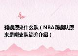 鵜鶘原來什么隊（NBA鵜鶘隊原來是哪支隊簡介介紹）