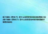 楊千嬅的《野孩子》是什么意思是指對歌詞的理解介紹(楊千嬅的《野孩子》是什么意思是指對歌詞的理解詳細(xì)情況如何)