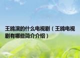 王鷗演的什么電視劇（王鷗電視劇有哪些簡介介紹）