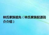 林氏家族祖先（林氏家族起源簡介介紹）