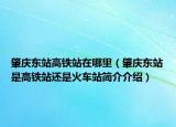 肇慶東站高鐵站在哪里（肇慶東站是高鐵站還是火車站簡介介紹）