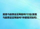 報(bào)喜鳥股票是藍(lán)籌股嗎?介紹(報(bào)喜鳥股票是藍(lán)籌股嗎?詳細(xì)情況如何)