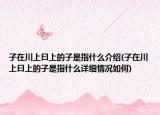 子在川上曰上的子是指什么介紹(子在川上曰上的子是指什么詳細情況如何)