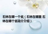 石林在哪一個(gè)?。ㄊ衷谀睦?石林在哪個(gè)省簡(jiǎn)介介紹）