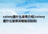 colony是什么意思介紹(colony是什么意思詳細(xì)情況如何)