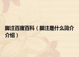 腳注百度百科（腳注是什么簡(jiǎn)介介紹）